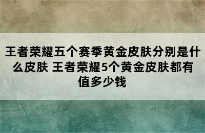 王者荣耀五个赛季黄金皮肤分别是什么皮肤 王者荣耀5个黄金皮肤都有值多少钱